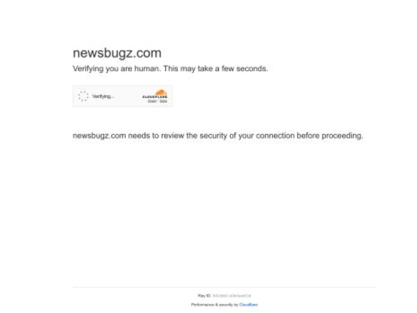 newsbugz.com